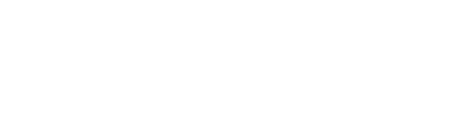 Vitamin-Shoppe case study