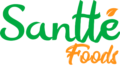 Santte Foods Case Study 